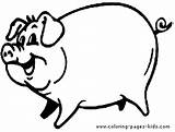 Pig Coloring Pages Animal Kids Farm Cochon Color Drawing Printable Dessin Animals Peppa Pigs Colorier Coloriage Sheets Colouring Big Imprimer sketch template