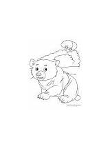 Coloring Bear Cub Pages Cheer sketch template