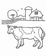 Coloring Cow Barn Pages Front Milk Cows Ox Color Cattle Print Farmers Musk Getcolorings Size Netart Kids sketch template