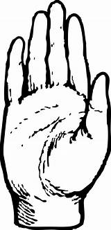 Drawing Hand Palm Clipart Clip Hands sketch template