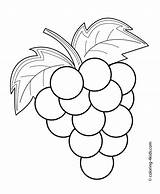 Fruits Coloring Kids Pages Fruit Grapes Printable Vegetable Colouring Drawing Color Visit Grape sketch template