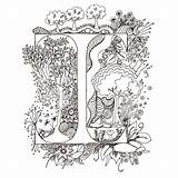 Letters Illuminated Alphabet Pages Calligraphy Letter Zentangle Lettering Etsy Colouring sketch template