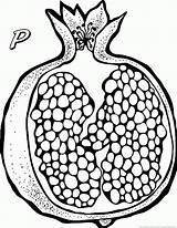 Pomegranate Dumielauxepices sketch template