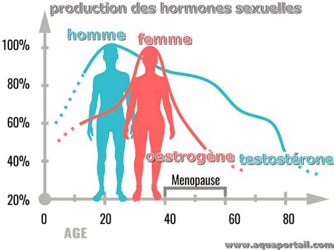 hormone sexuelle définition et explications