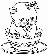 Colorir Desenhos Kleurplaten Schattige Katten Gatinho Gatinhos sketch template