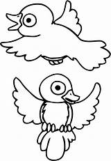 Oiseau Oiseaux Imprimer Uccelli Nid Coloriages Dessus Animaux Enfant Dessins Mangeoire Flying sketch template