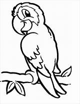 Parrot Coloring Pages Printable Cartoon Macaw Parrots Print Bird Kids Colouring Tropical Drawing Clipart Color Pet Cliparts Animal Flying Coloringbay sketch template