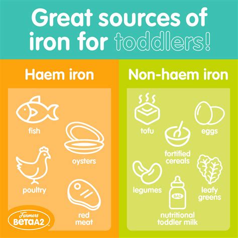 great sources  iron  toddlers beta  professional