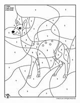 Deer Number Color Coloring Animal Pages Preschool Printable Kids Numbers Activities Animals Colors Folding Woojr Camel Choose Board Sheets Golden sketch template