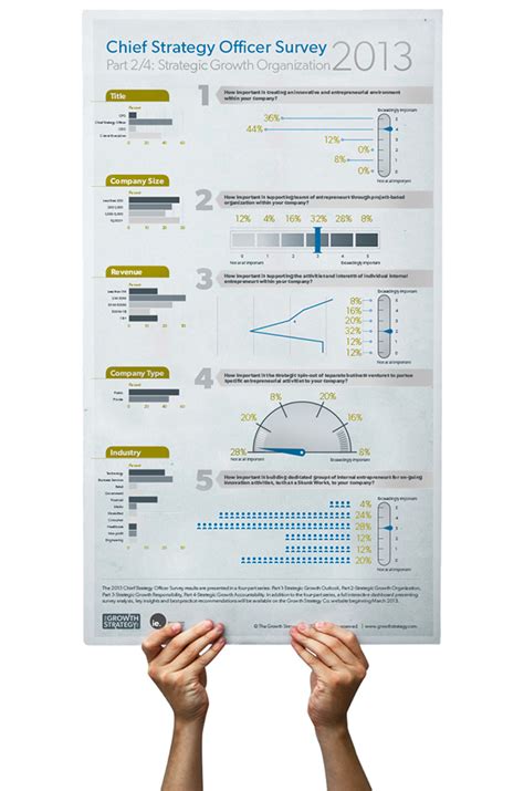 Chief Strategy Officer Survey Infographic Series On Behance