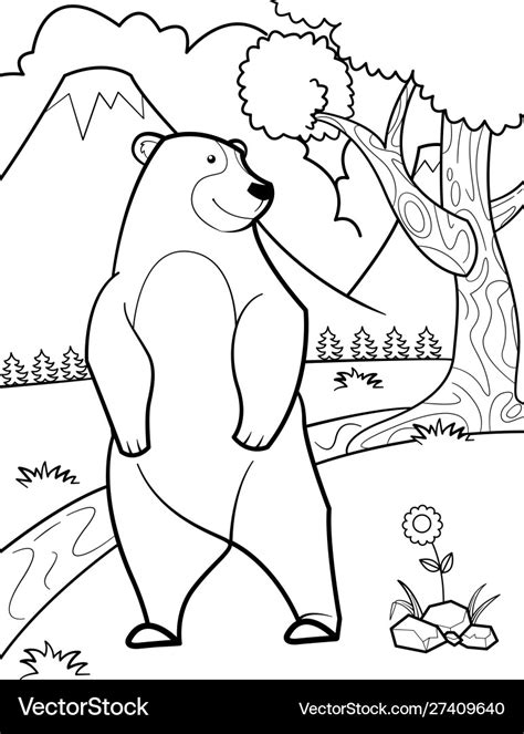 top image bear
