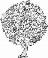 Obst Ausmalbilder Coloriage Vorlagen Dover Arbre Couleur árbol Malvorlagen Fruits Erwachsene Getdrawings Fruitiers Arbres Mandale sketch template