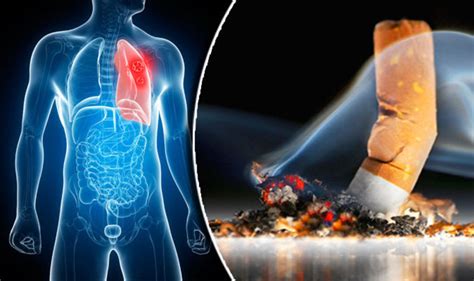 Why Is Smoking So Bad For You Researchers Reveal Why Cigarettes Damage