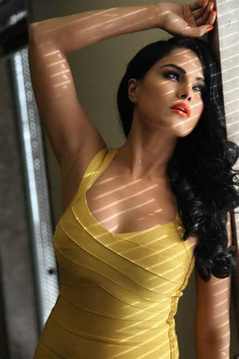 Veena Malik Shows Off Hot Curves