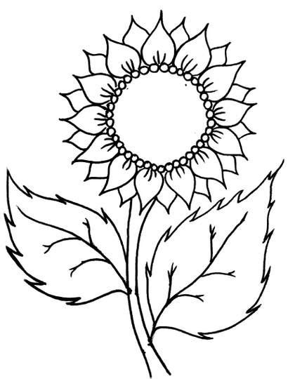 lukisan bunga matahari hitam putih hd eric buckland