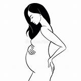 Pregnant Belly sketch template