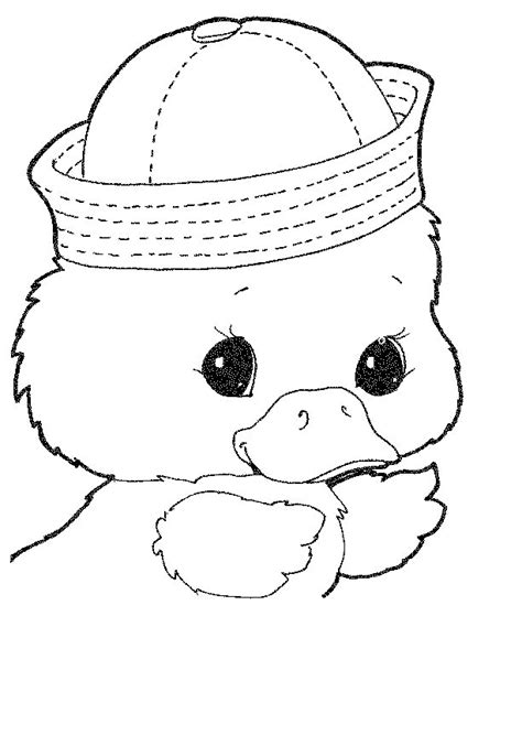 kids  funde  ausmalbilder von enten