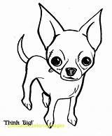 Chihuahua Dog Coloring Line Pages Drawing Getdrawings sketch template
