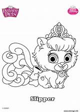 Palace Slipper Whisker Colouring Imprimé Fois Drukuj sketch template