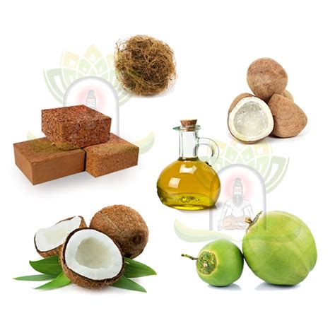 coconut products   price  theni sax exporter