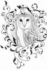 Filigree Owl Drawing Sloan Alexandra Drawings Fineartamerica Illustration Paintingvalley 19th Uploaded April Which Line sketch template