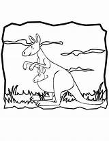 Kangaroo Coloring Pages Kangaroos Kids Printable Outline Clipart Color Cartoon Clip Baby Library Comments Use Print Popular Coloringhome Animal sketch template