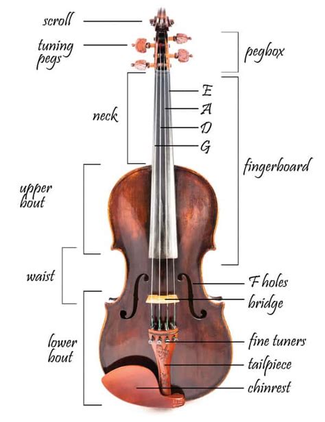 violin parts  violin