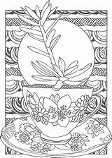 Succulent Succulents Tohono Tucson Chul sketch template
