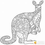 Kangaroo Aboriginal Colouring sketch template