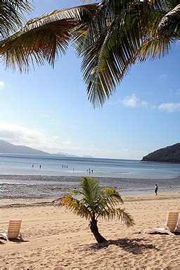 catseye beach australia photo