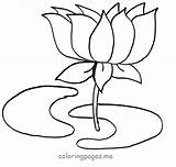 Lotus Outline Flower Coloring Colouring Clipart Printable Cliparts Clip Tattoo Library Pdf Attribution Forget Link Don sketch template