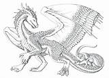 Coloring Pages Dragon Ice Realistic Color Water Printable Adults Fire sketch template