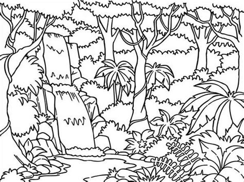unveil bouncing jungle coloring page appreciating entertain