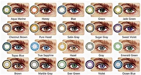 Pin By Robyn Hughes On Younique Eye Color Chart Eye Color Chart