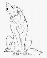 Drawing Wolf Howling Sitting Moon Line Down Getdrawings Coyote Drawings Snarl Seekpng Paintingvalley Collection sketch template