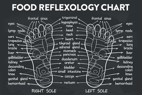 Foot Reflexology Course Thai Foot Massage Massage Therapy Courses