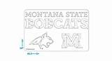 Bobcats Tailgater sketch template
