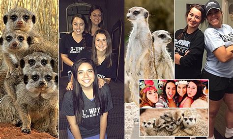 sorority girls pose exactly like meerkats daily mail online