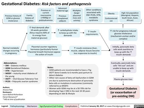 gestational diabetes risk factors  pathogenesis calgary guide
