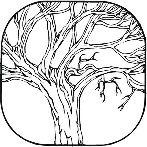 trees coloring pages tree coloring page coloring pages