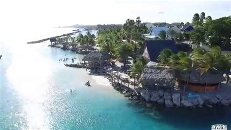 curacao lions dive beach resort youtube