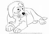 Dog Mountain Bernese Drawing Step Draw Coloring Pages Animals Template Sketch Drawingtutorials101 Tutorials Other sketch template