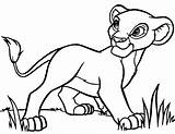 Lion Coloring Baby Pages Kids Printable Animal sketch template