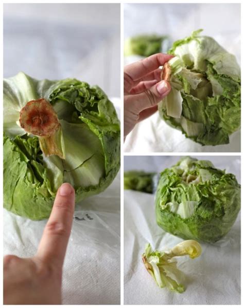 how to tuesday how to keep lettuce fresh country cleaver