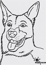 Hund Ausmalbilder Katze Malvorlagen Ausdrucken sketch template