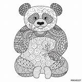 Zentangle Colorear Pandas Osos Koala Getekende sketch template
