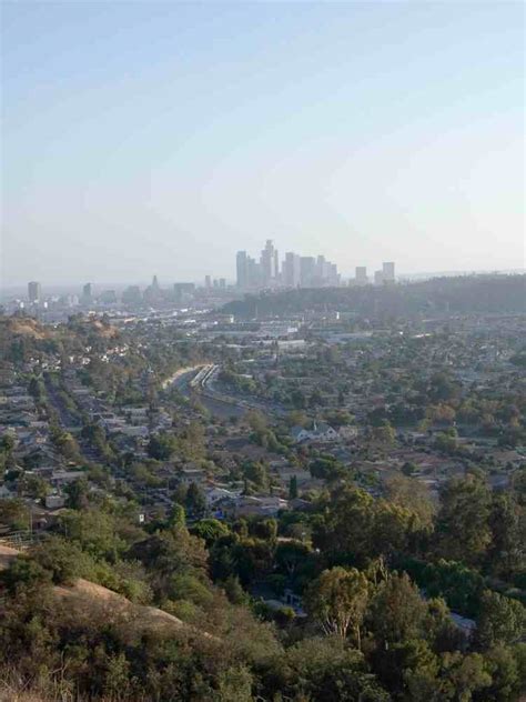 reports los angeles landscape history