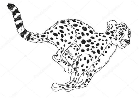 wild cat coloring page running wild cat coloring page stock vector