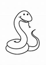 Snake Coloring Copperhead Pages Edupics sketch template