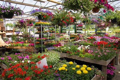 tuincentrum tuincentrum bloemsierkunst hoveniersbedrijf odink nijverdal